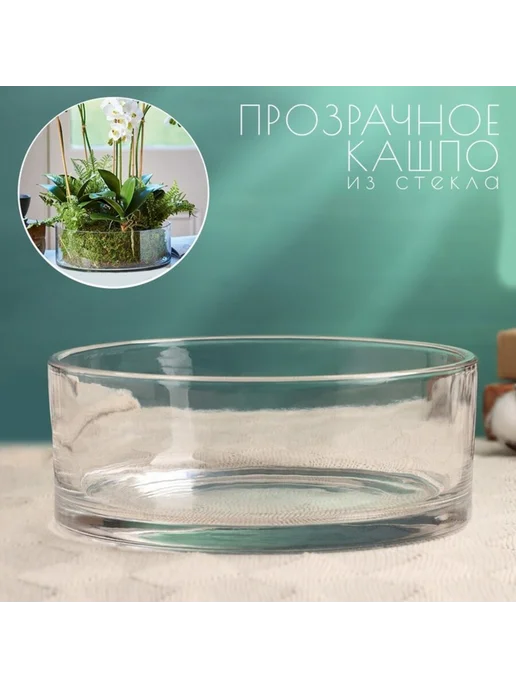 Greengo Кашпо для цветов стеклянное 20x8 см Эллен, 20x8 см