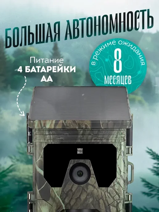 Фотоловушка NatureWatch, вариант, фото 2
