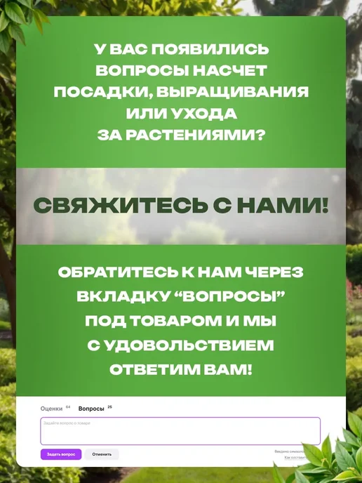 САД ПРОФИ Ирис 5 шт луковицы Микс набор-3, 5 шт, фото 3