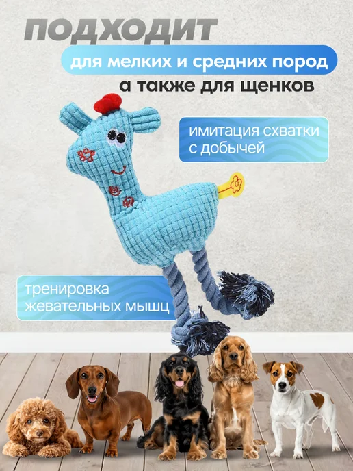 Игрушка для собак мелких пород, голубой, фото 4