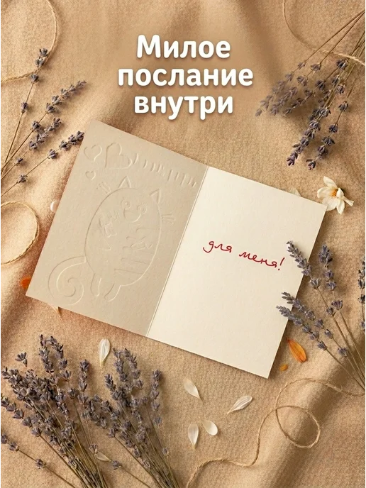 SVESER Открытка с котиком,подарочная,прикольная, желтый, фото 3