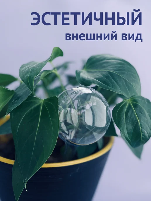Автополив для комнатных растений капельный полив цветов, белый, фото 2