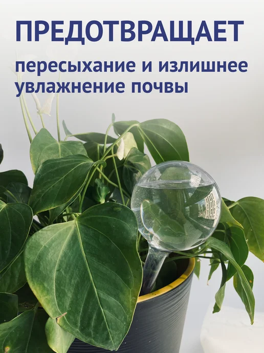 Автополив для комнатных растений капельный полив цветов, белый, фото 4