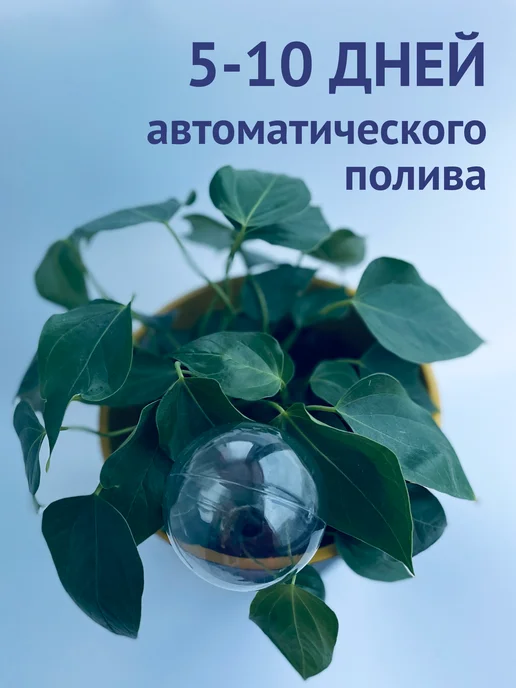 Автополив для комнатных растений капельный полив цветов, белый, фото 7