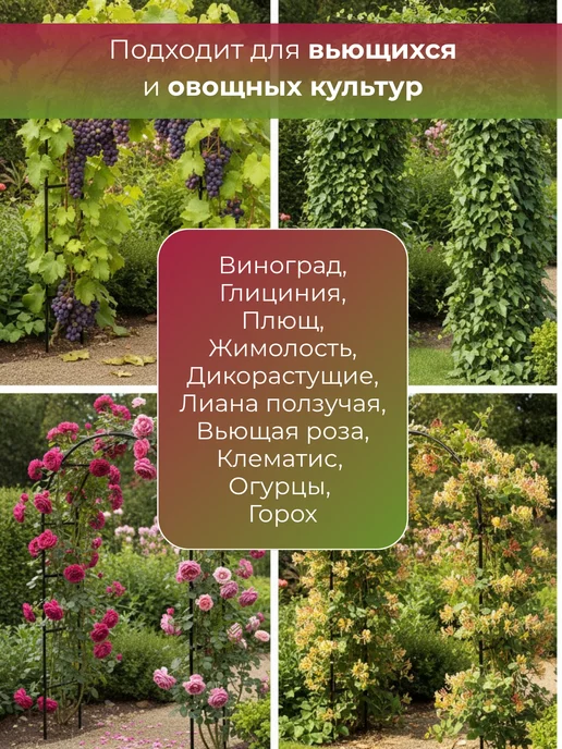 Арка садовая опора для вьющихся растений и цветов, зеленый, фото 4